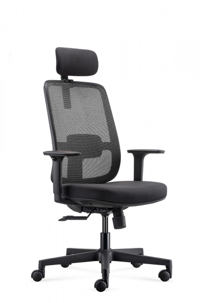 Ergo Basic Ergovision uredska stolica