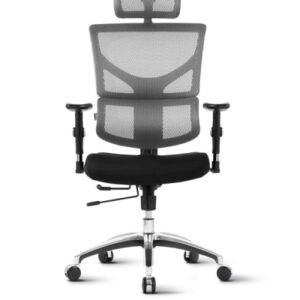 Smart Basic Ergovision uredska stolica – siva