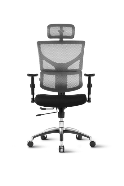 Smart Basic Ergovision uredska stolica - siva