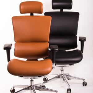 Smart Deluxe Ergovision uredska stolica
